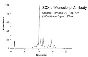 poly SULFOETHYL A