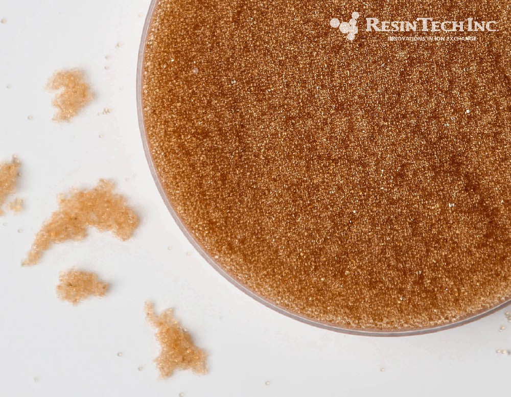 1ddc754fb932c87c1c2241545447978a_CNS-C_Shot3@2x.jpg