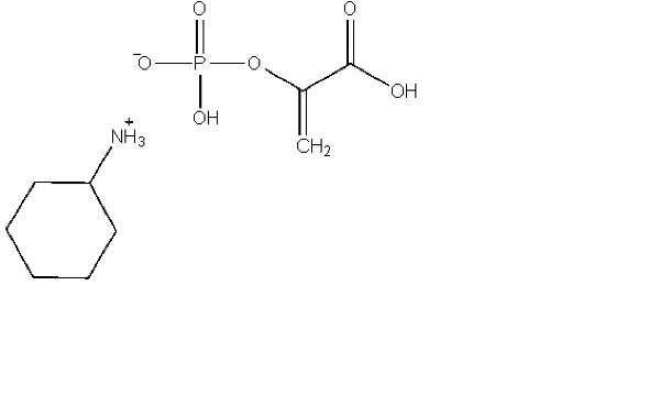 97f48aca46a9666869809c18bab20f13_PEP-CHA-600x379.jpg